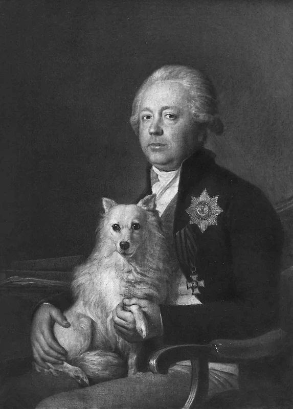 Ritratto del Conte Michail Petrovich Rumyantsev